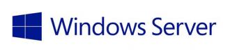 MS Windows Server 2019 5DEV CAL EMEA LTU