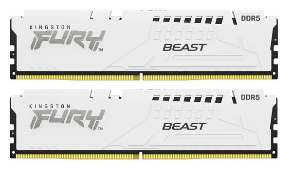 DDR 5....        32GB . 6000MHz. CL36 FURY Beast White Kings