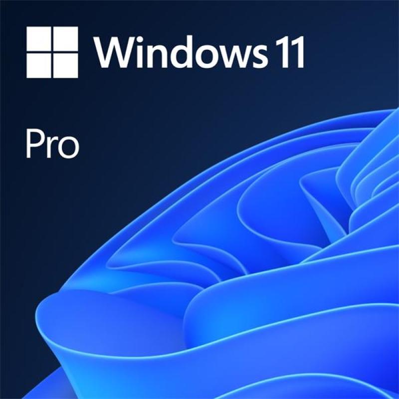Microsoft Windows 11 Pro 64-bit English USB FPP