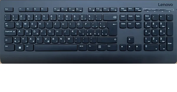 Lenovo Professional Wireless Keyboard SK - slovenska klavesn