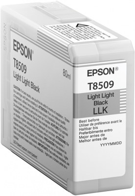 Epson atrament SC-P800 light light black 80ml